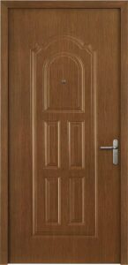 Customized Door